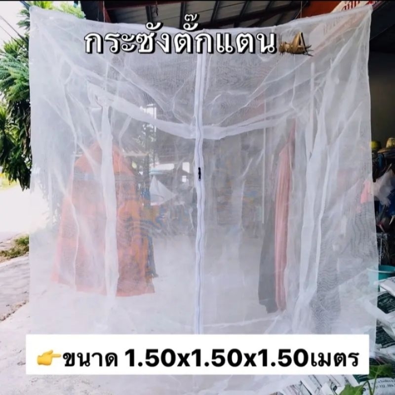 มุ้งเลี้ยงตั๊กแตน,มุ้งตั๊กแตน,มุ้งเพาะตั๊กแตน,กระชังเลี้ยงตั๊กแตน,กระชังตั๊กแตน,มุ่งปาทังก้า,กระชังปาทังก้า