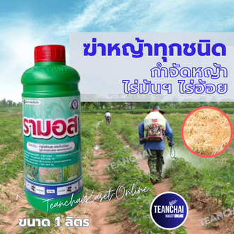ยาฆ่าหญ้า รามอส ขนาด 1 ลิตร(สินค้าผลิตใหม่✅ของแท้) ชนิดเผาไหม้ กึ่งดูดซึม กำจัดหญ้าได้ทุกชนิด กำจัดวัชพืชใบกว้างและใบแคบ