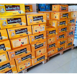 (ส่งฟรี ลด50% ในไลฟ์ ) เมล็ดทานตะวันแบรนด์ไทย ยกลัง 5 kg เม็ดใหญ่มากก ไซส์จั้มโบ้ รสวอลนัท-พุทราจีน