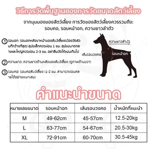 QQPET สายจูงสุนัข เสื้อรัดอกสุนัข เสื้อรัดอกสัตว์เลี้ยง สายจูงสุนัข พันธุ์กลาง-ใหญ่ หลายสี หลายไซส์ สายจูงหมา มีแถบสะท้