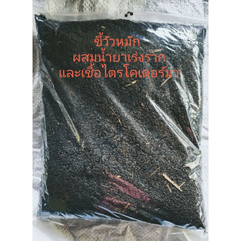 ขี้วัวหมักผสมน้ำยาเร่งราก ผสมเชื้อไตรโคเดอร์มา (แบบผง)