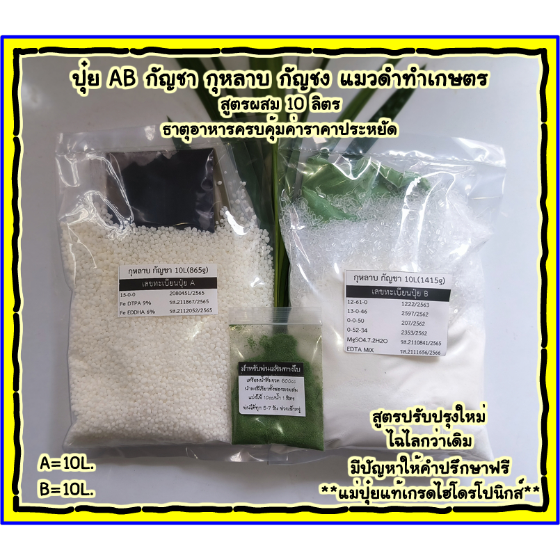 ปุ๋ย AB สายเขียว กุหลาบ ไม้ดอก ไม้ประดับ (A=10L. B=10L.) ดอกใหญ่ ใบเขียว สูตรเดียวจบ