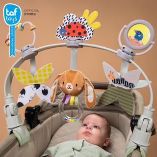Taf Toys โมบายติดรถเข็นเด็ก Grow with me Activity Arch โมบายเด็ก ของเล่นเสริมพัฒนาการ 0 เดือน ขึ้นไป รูปที่ 3