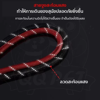 QQPET สายจูงสัตว์เลี้ยง สายจูงสุนัข สายคล้องคอสุนัข พร้อมที่จับ โฟมEVA หลายสี เหมาะสำหรับสุนัขขนาดกลางถึงใหญ่ แข็งแรงทนท