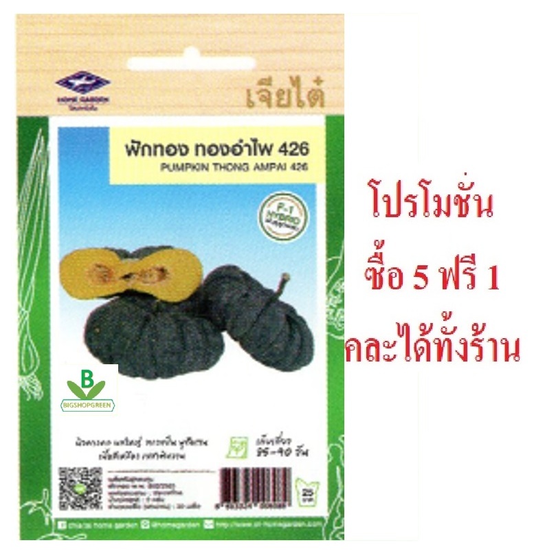 5 แถม 1 คละได้ทั้งร้าน เมล็ดพันธุ์ ฟักทอง ทองอำไพ 426 เจียไต๋ เมล็ดพันธุ์คัดพิเศษ F1 ความงอกสูง ปลูกโตไว