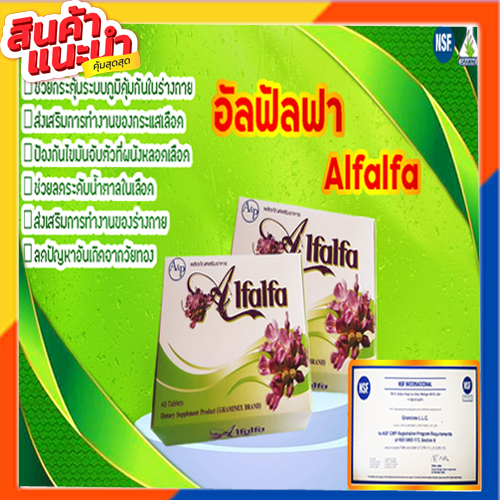 ของแท้💯%ผลิตภัณฑ์เสริมอาหาร อัลฟัลฟา : alfalfa