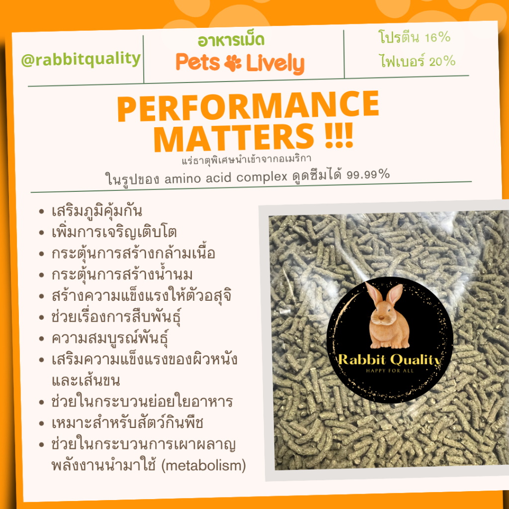 PetsLively 10 kg อาหารกระต่าย อาหารเม็ดกระต่ายและสัตว์ฟันแทะ Premium Exotic Food