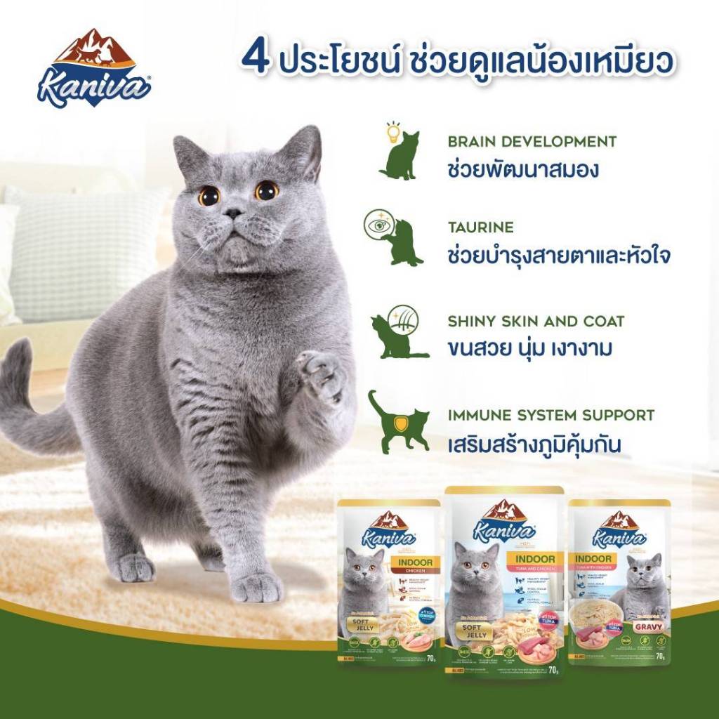 รูปภาพ 6