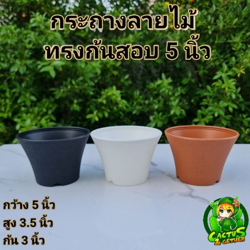 กระถางลายไม้ทรงสอบ5×3.5"นิ้ว หนา ลายชัด ก้นสอบ กระถางแคคตัส