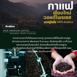 เมล็ดกาแฟออแกนิคเกรดพรีเมี่ยม เกรดA เชียงใหม่ วอชด์โพรเซส ดอยปู่หมื่น กาแฟอราบิก้า100% บรรจุถุงซิปล็อคติดวาล์ว 250 กรัม