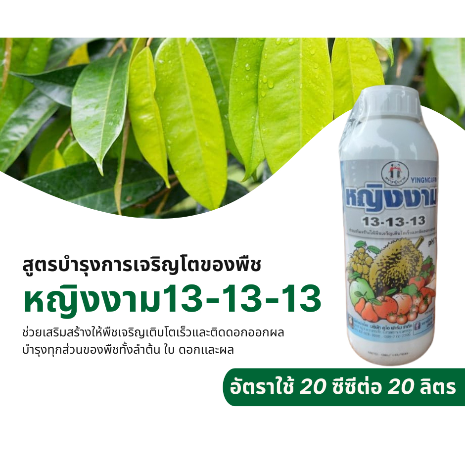 ปุ๋ยน้ำหญิงงาม 13-13-13  (ขนาด 1 ลิตร) ช่วยให้พืชเจริญเติบโตเร็ว ติดดอก ออกผล