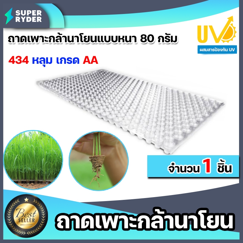 ขายส่ง!! ถาดเพาะกล้านาโยน (แบบหนา) 434 หลุม 1ชิ้น เพาะต้นกล้า เพาะนาโยน ปลูกกล้านาโยน ปลูกข้าว