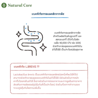 Natural Core Labre Blueberry / Strawberry 70g. ขนมสำหรับสุนัข เพื่อสุขภาพ นำเข้าจากประเทศเกาหลี🇰🇷