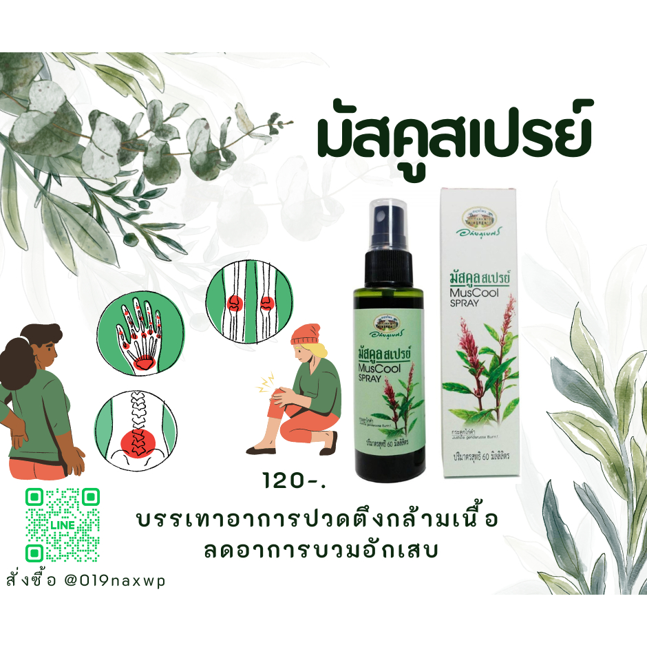 มัสคูลสเปรย์ MusCool Spray (สเปรย์กระดูกไก่ดำ) บรรเทาอาการปวดเมื่อย