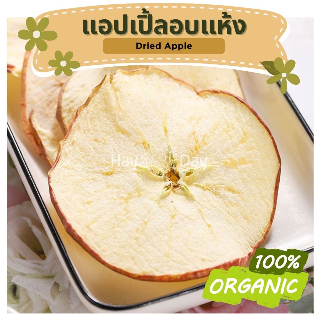 ขนมกระต่าย || แอปเปิ้ลอบแห้ง || ปลอดสารพิษ ชาดอกไม้ สำหรับกระต่าย ชินชิล่า แพรี่ดอก แฮมเตอร์ ชูการ์