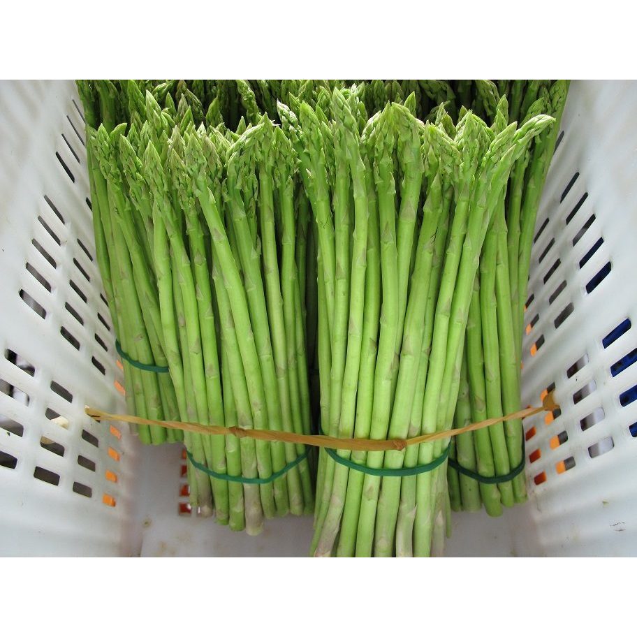 ต้นกล้าหน่อไม้ฝรั่ง ผักรสชาติดี กรอบกรุบ ประโยชน์เยอะ    กล้าละ 10 บาท ซื้อ 10 แถม2