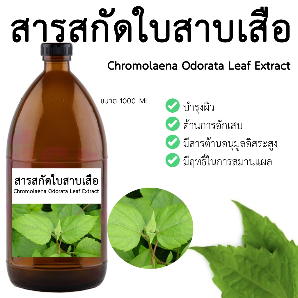 สารสกัดใบสาบเสือ 1000 ML I สารสกัดสมุนไพร Iสำหรับใช้ใรเครื่องสำอาง