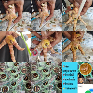 หน่อไก่ ปรวดน้ำ สมุนไพร8เซียน แค่ทาไม่ต้องผ่า