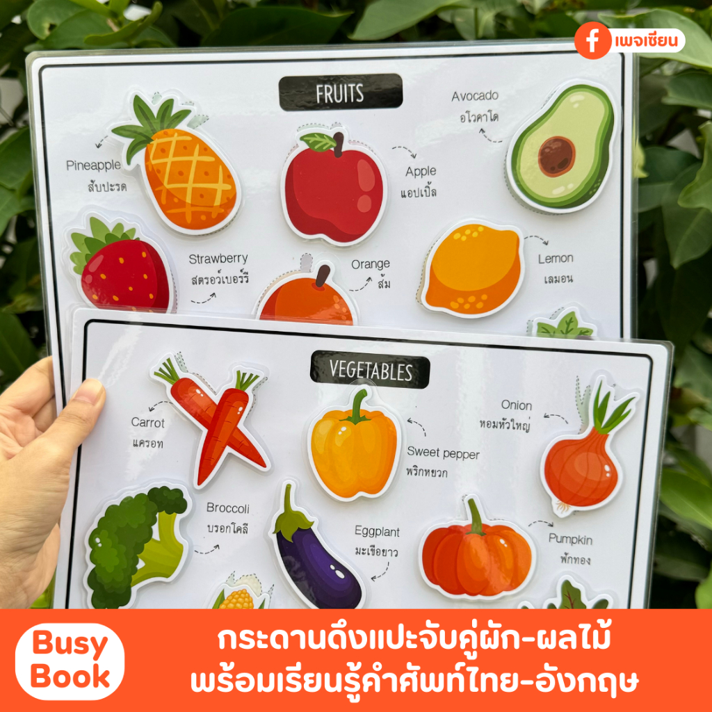 Busy Book สมุดดึงแปะเรื่องอาชีพ เรียนรู้เรื่องคำศัพท์ไทย-อังกฤษ เคลือบแข็งอย่างดี