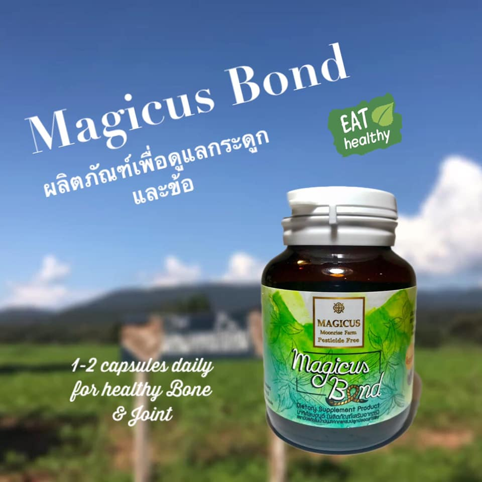 (ของแท้) ส่งฟรี Magicus Bond งา มาจิคัสบอนด์ โดย ดร.ทวีศักดิ์ ดูแลข้อเข่าเสื่อมมาจิกคัสบอนด์