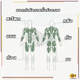 เชือกดึงซิทอัพ ยางยืดออกกำลังกาย ยางยืดโยคะ อุปกรณ์กีฬาออกกำลังกาย แบบ ยางยืดออกกำลังกายแบบ 4 เส้น พกพาสะดวก น้ำหนักเบา
