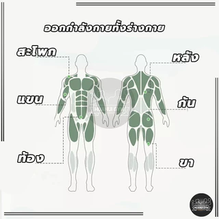 เชือกดึงซิทอัพ ยางยืดบริหารกล้ามเนื้อ อุปกรณ์กีฬาออกกำลังกาย แบบ ยางยืดออกกำลังกายแบบ 4 เส้น พกพาสะดวก น้ำหนักเบา