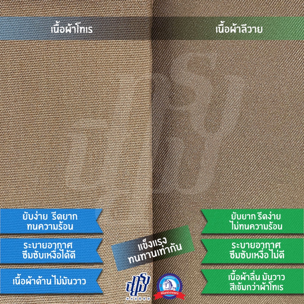 รูปภาพ 3