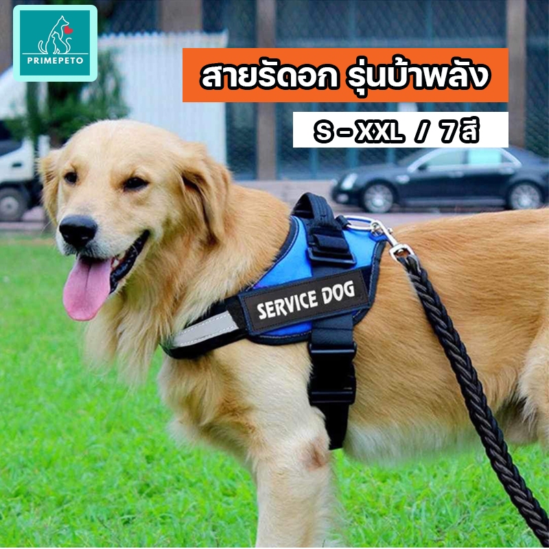 PrimePetto (ขายแยก) สายรัดอกสุนัข K9 พันธุ์เล็กพันธุ์ใหญ่ ปรับเข้าออกได้ ทนต่อแรงดึง มีแถบสะท้อนแสง
