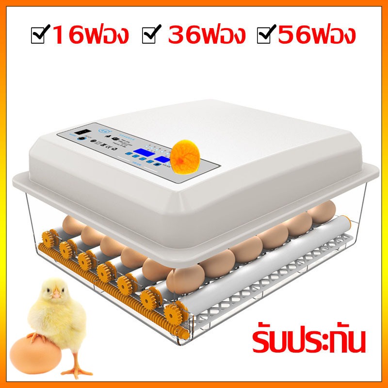 ตู้ฟักไข่อัตโนมัติ รุ่น16/36/56ฟอง ตู้ฟักไข่ราคาถูกๆ ที่ฟักไข่ ฟักไข่ไก่ นก เป็ด ห่าน รับประกัน1ปี ส่งจากไทยภายใน 24 ชม