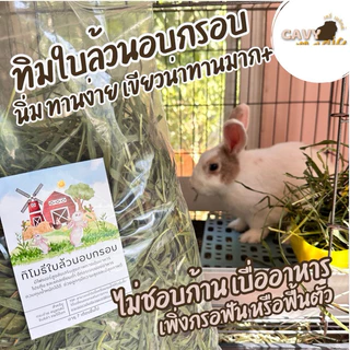 หญ้าทิโมธีใบล้วน อบกรอบ หญ้ากระต่าย แกสบี้ ใบล้วนเขียวสดหอม