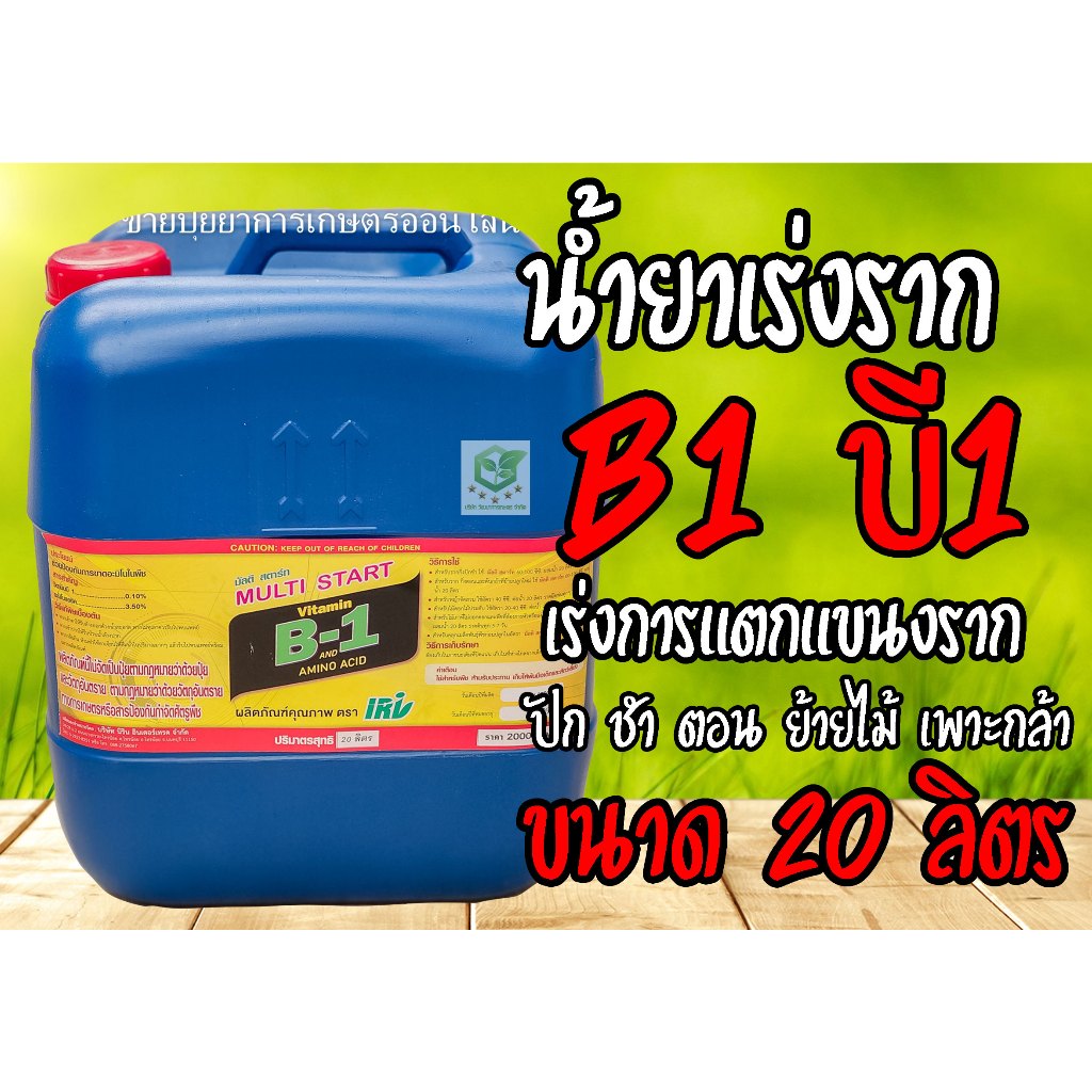 /20ลิตร/ B-1 บีวัน  ฝาแดงฉลากไทย คุ้มB-1ยาเร่งราก B1 บี1 บี-1 นำ้ยาเร่งราก วิตามินบี-1