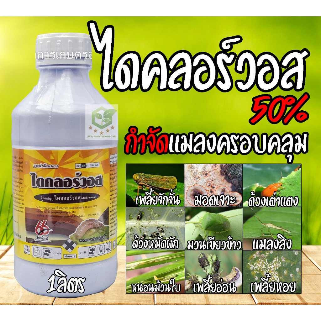 ไดคลอร์วอส 66 ขนาด 1 ลิตร ยากำจัดแมลง หนอน เพลี้ย แมลงบินต่างๆ แมลงหวี่ขาว บอนสี ไม้ด่าง