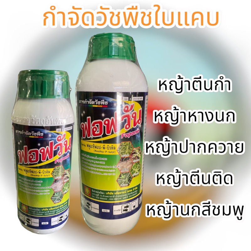 ฟลูอะซิฟอป-พี-บิวทิล ฟอฟวัน สารกำจัดวัชพืชใบแคบ หญ้าตีนกา หญ้าตีนติด หญ้าคา หญ้าปากควาย