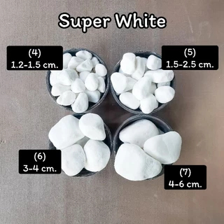 หินขาว super white (เบอร์ 1-7) น้ำหนัก 200กรัม , 500 กรัม และ 1 กิโลกรัม