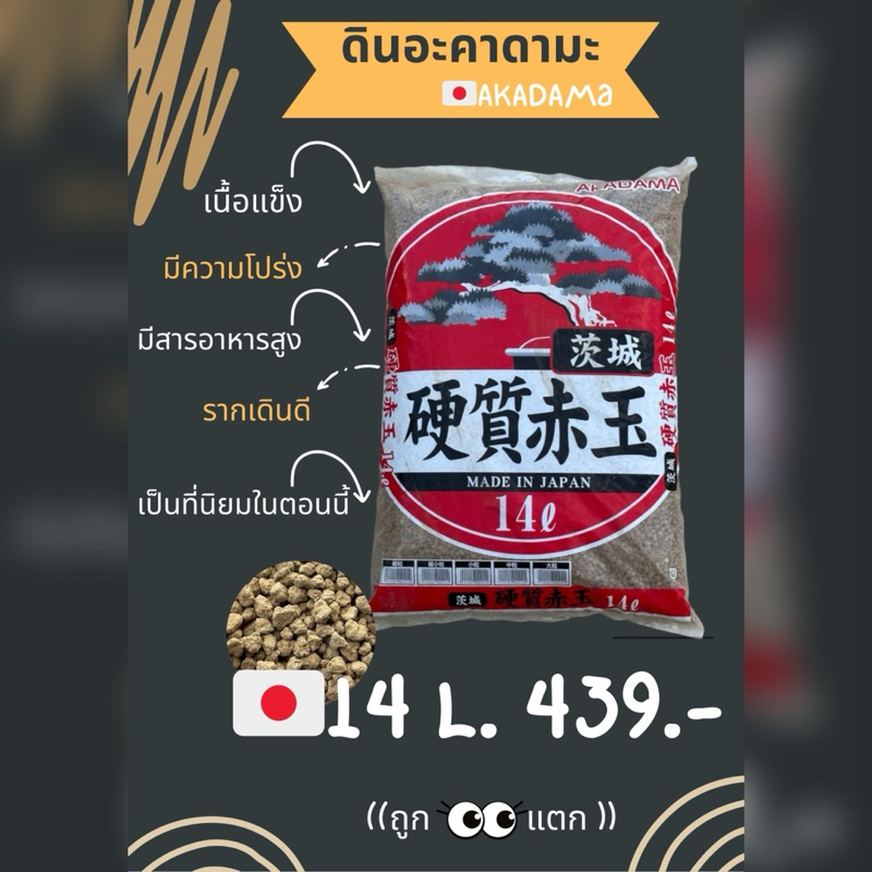 ดินญี่ปุ่นเนื้อแข็งดินญี่ปุ่นถุงแดง