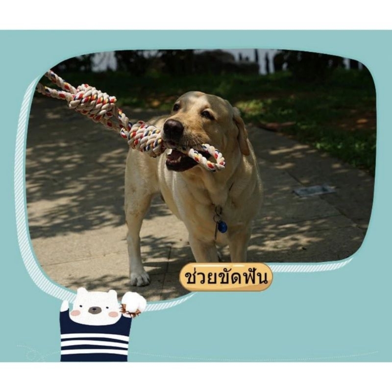 Fidoz factory เชือกกัดสุนัข ของกัดเล่นหมาใหญ่ เชือกกัดเล่นสุนัขขนาดใหญ่