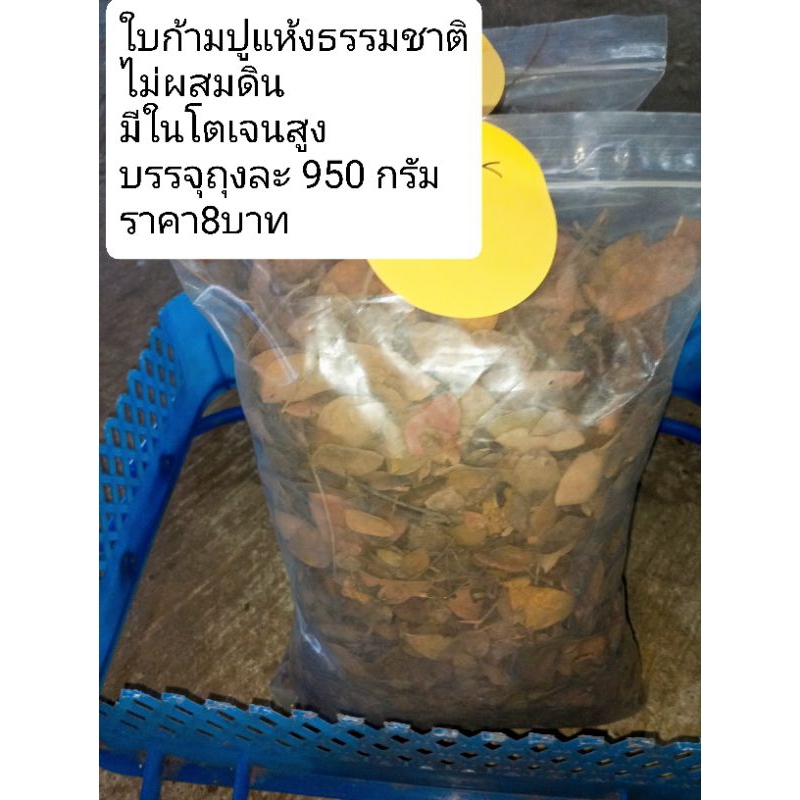 ใบก้ามปูแห่งธรรมชาติ 5 ถุง แถม 1 ถุง – โปรปัง