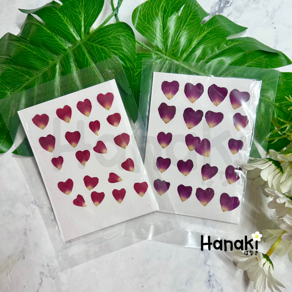 【พร้อมส่ง】กลีบดอกกุหลาบรูปหัวใจ ดอกไม้จริงทับแห้ง ดอกไม้ทับแห้ง Pressed Flowers