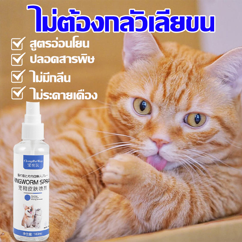 สุขภาพผิวหนังของสัตว์เลี้ยง สุขภาพแมวและสุนัขที่แข็งแรง