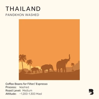 เมล็ดกาแฟ คั่วกลาง - Thailand Pangkhon Washed