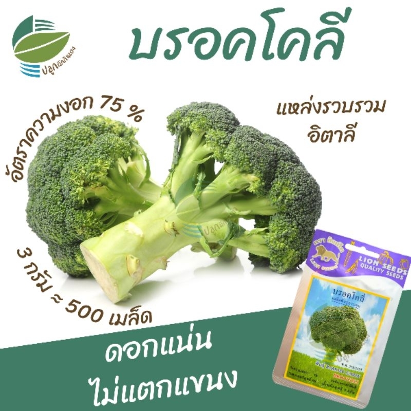 เมล็ดพันธุ์ บรอคโคลี พันธุ์ ROMOSO EARAY (Broccoli)
