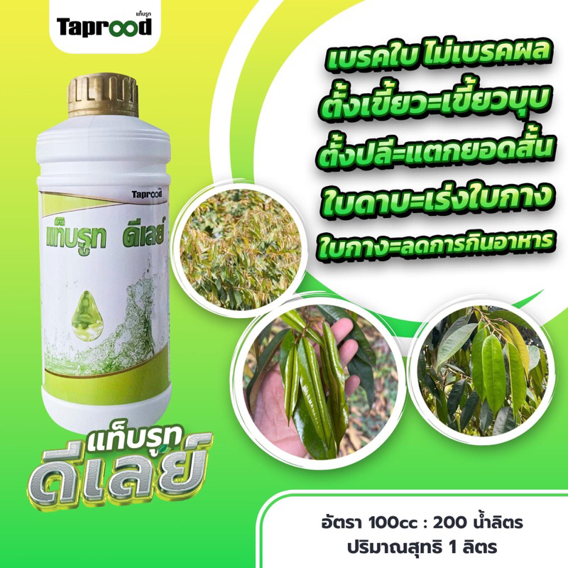 แท็บรูทดีเลย์ เบรคใบ ไม่เบรคผล