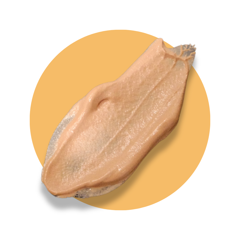 ☀️🌴🍉 ครีมกันแดด PASSUN Tinted Face/Neck Sunscreen SPF50 PA+++ 30g Reef-Safe สีเนื้อ ไม่ทำร้ายปะการัง ดำน้ำ อ่อนโยน - รูปที่ 6