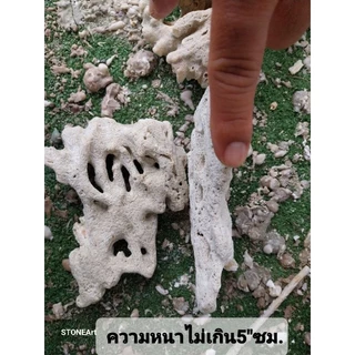 หินแผ่น size "M" ขนาด 4" นิ้ว บรรจุ 1 กก,ได้ประมาณ 4/5 แผ่น ตกแต่งตู้ปลาทะเล บำบัด พร้อมลงตู้