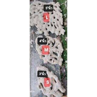 หินแผ่น size "M" ขนาด 4" นิ้ว บรรจุ 1 กก,ได้ประมาณ 4/5 แผ่น ตกแต่งตู้ปลาทะเล บำบัด พร้อมลงตู้