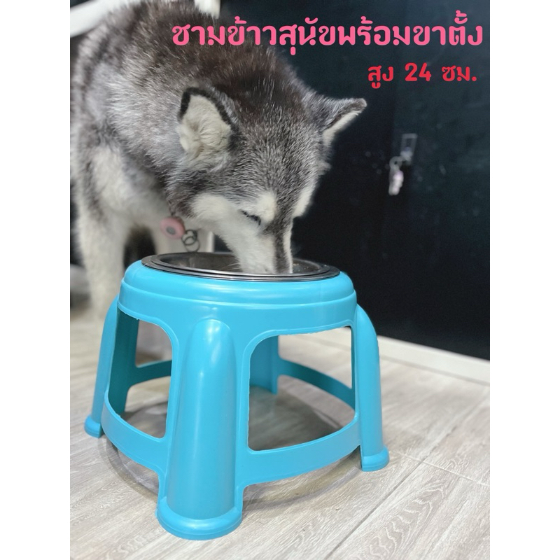 ***ขายส่ง*** ชามอาหารสุนัข ชามข้าวสแตนเลส ขาตั้งพลาสติกสูง 24 ซม.
