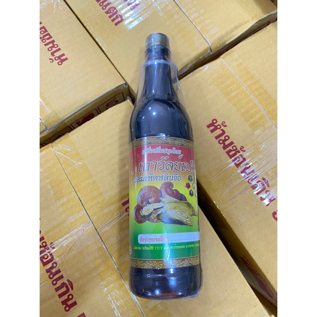 ของแท้ 100% 📌 ยกลัง 12ขวด สมุนไพรเถาวัลย์เปรียงผสมเห็ดหลินจือ ตราช้างทอง เส้นยืด เส้นตึง ปวดเข่า