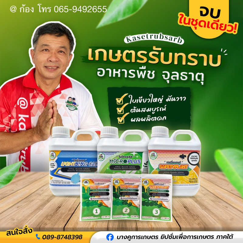 สั่งแยก!อาหารพืช จุลธาตุ แคลเซียม คุณโรจน์(เกษตรรับทราบ) ต้นทุเรียนสมบูรณ์ ใบเขียวใหญ่ ติดดอก ผลดก แก้ต้นโทรม
