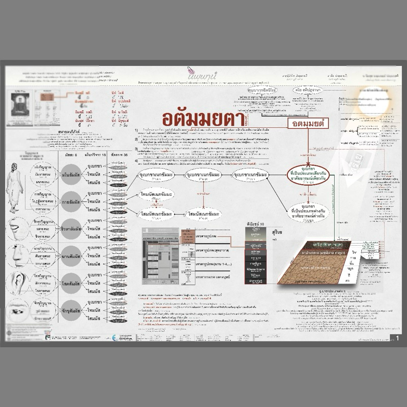ผัง อตัมมยตา พุทธวจน