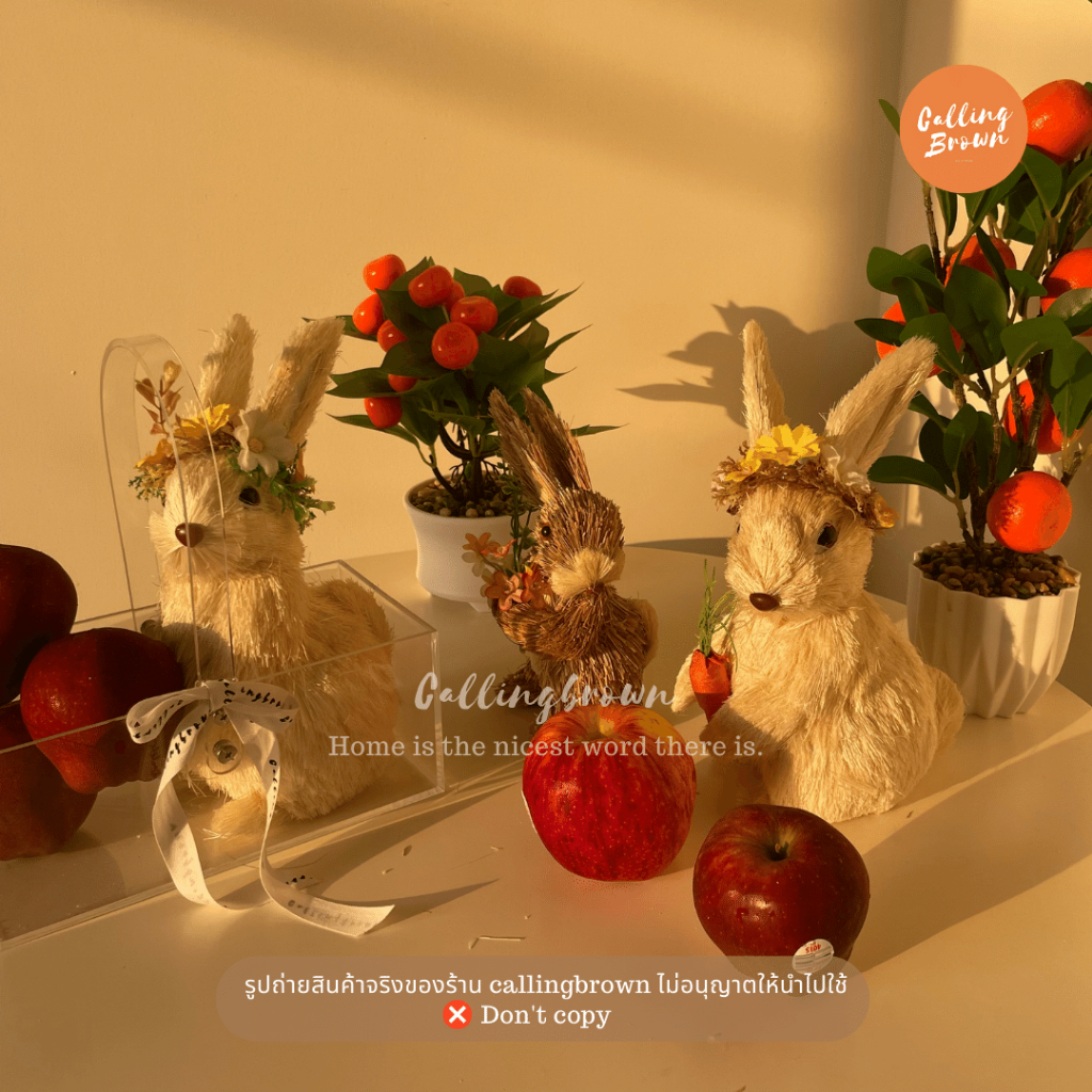 callingbrown [🌷🪻🐇พร้อมส่ง🐇🪻🌷] ตุ๊กตา กระต่าย